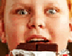 fudge-frenzy-small